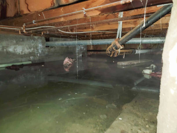 Best Water damage restoration services  in East Berlin, PA