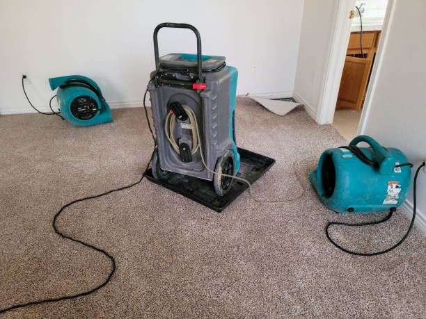 Best Mold removal after water damage  in East Berlin, PA