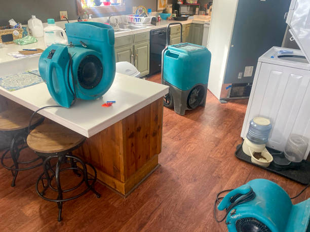 Best Professional water damage repair  in East Berlin, PA