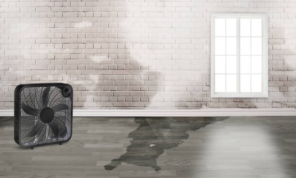 Local water damage restoration in East Berlin, PA