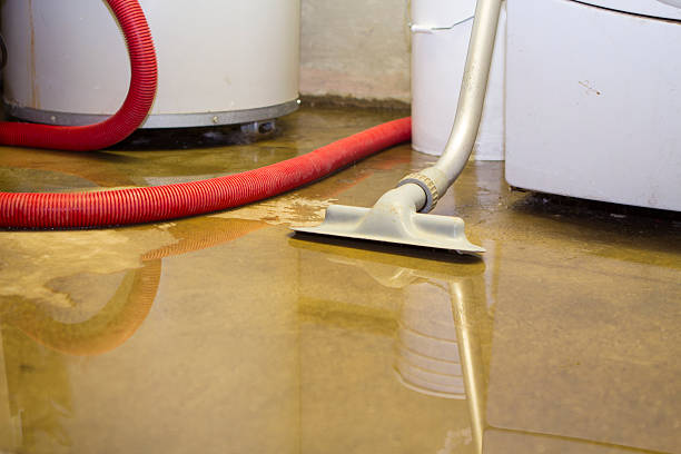 Best Flooded house restoration  in East Berlin, PA